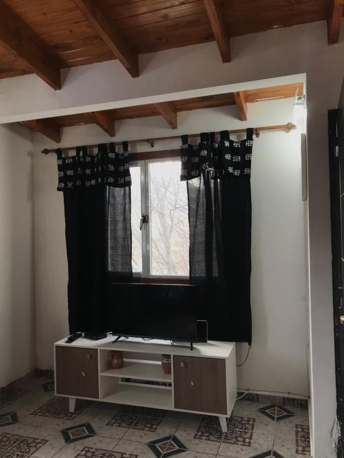Departamento Pajaro Carpintero