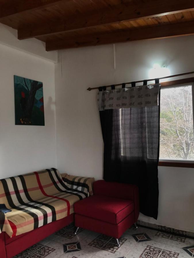 Apartment Departamento Pajaro Carpintero *